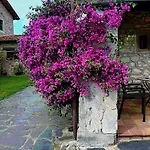 Gran Pedroso De *
