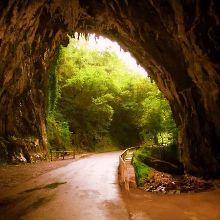 Gran Pedroso De * Llanes