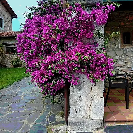Gran Pedroso De *